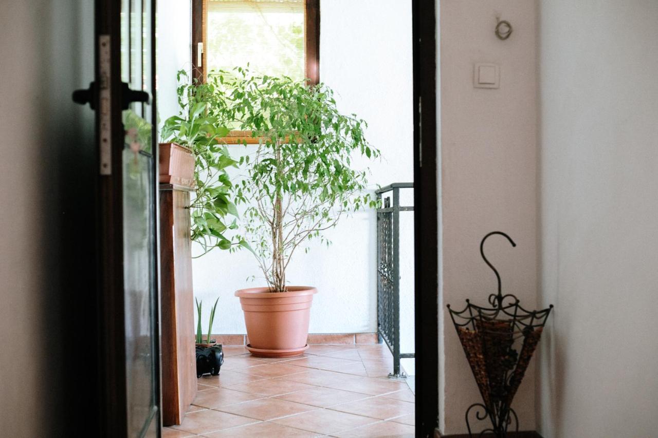 Apartment Ikar モスタル エクステリア 写真
